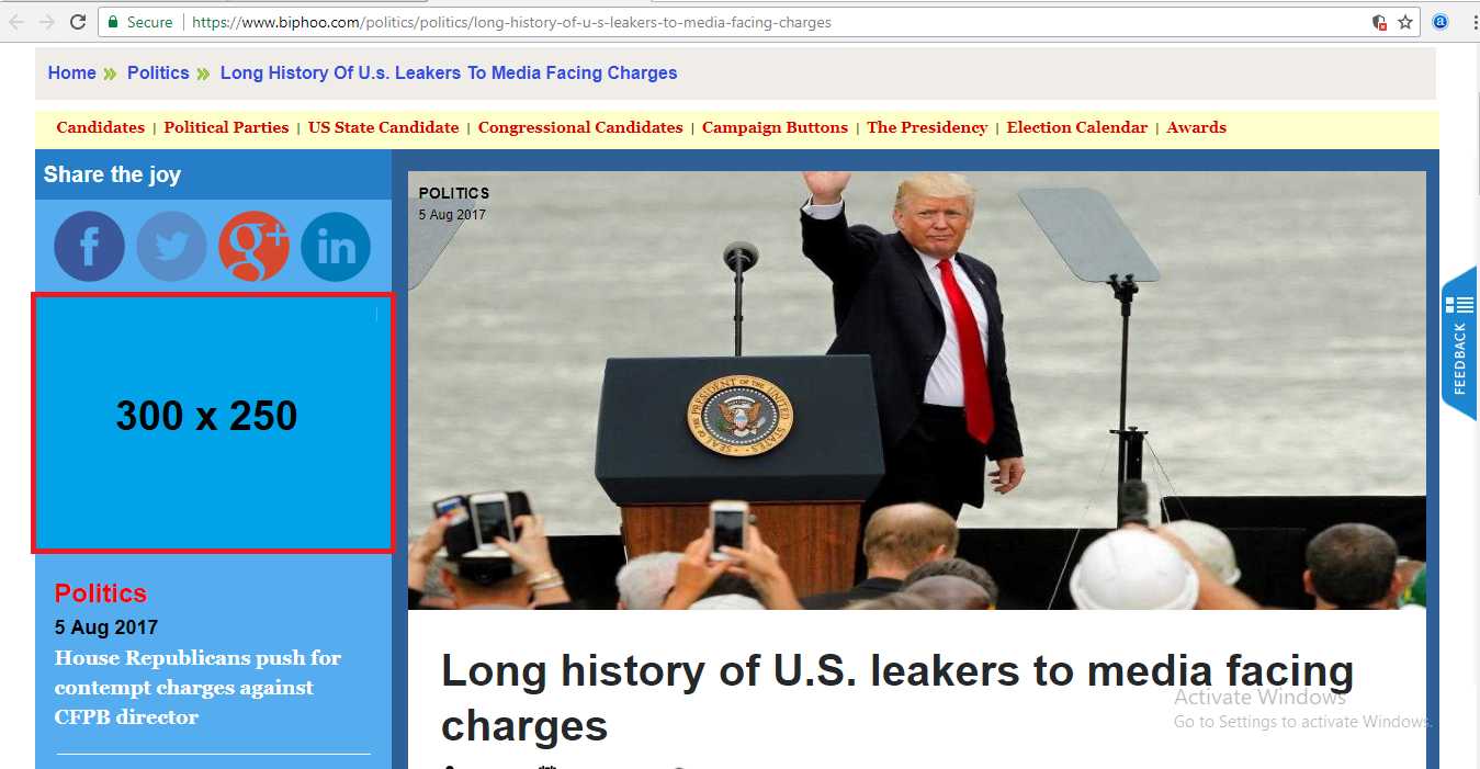 Politics Content Page Left Banner